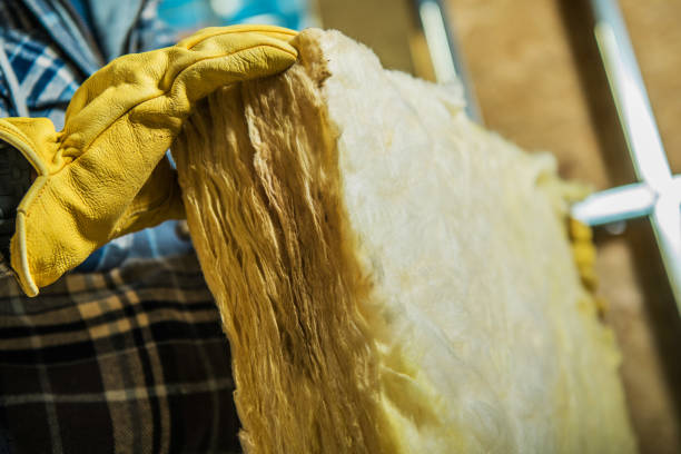 Best Specialized Insulation Services in Forest Park, GA